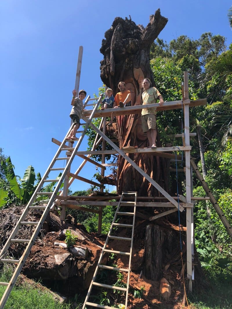 Bruce and his sons carving a standing tree on their Haleakala farm