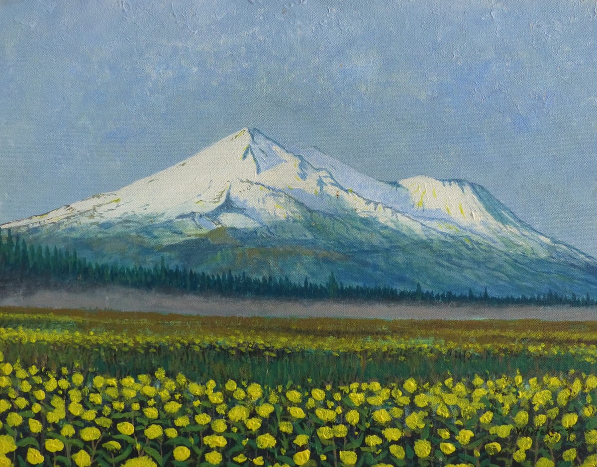 Shasta