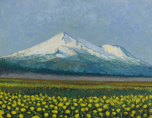 Shasta